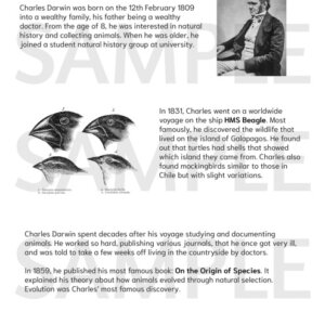 Charles Darwin Personal Profile Comprehension Worksheet
