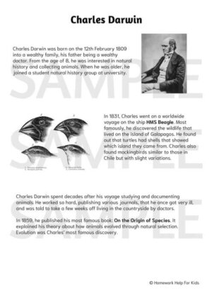 Charles Darwin Personal Profile Comprehension Worksheet