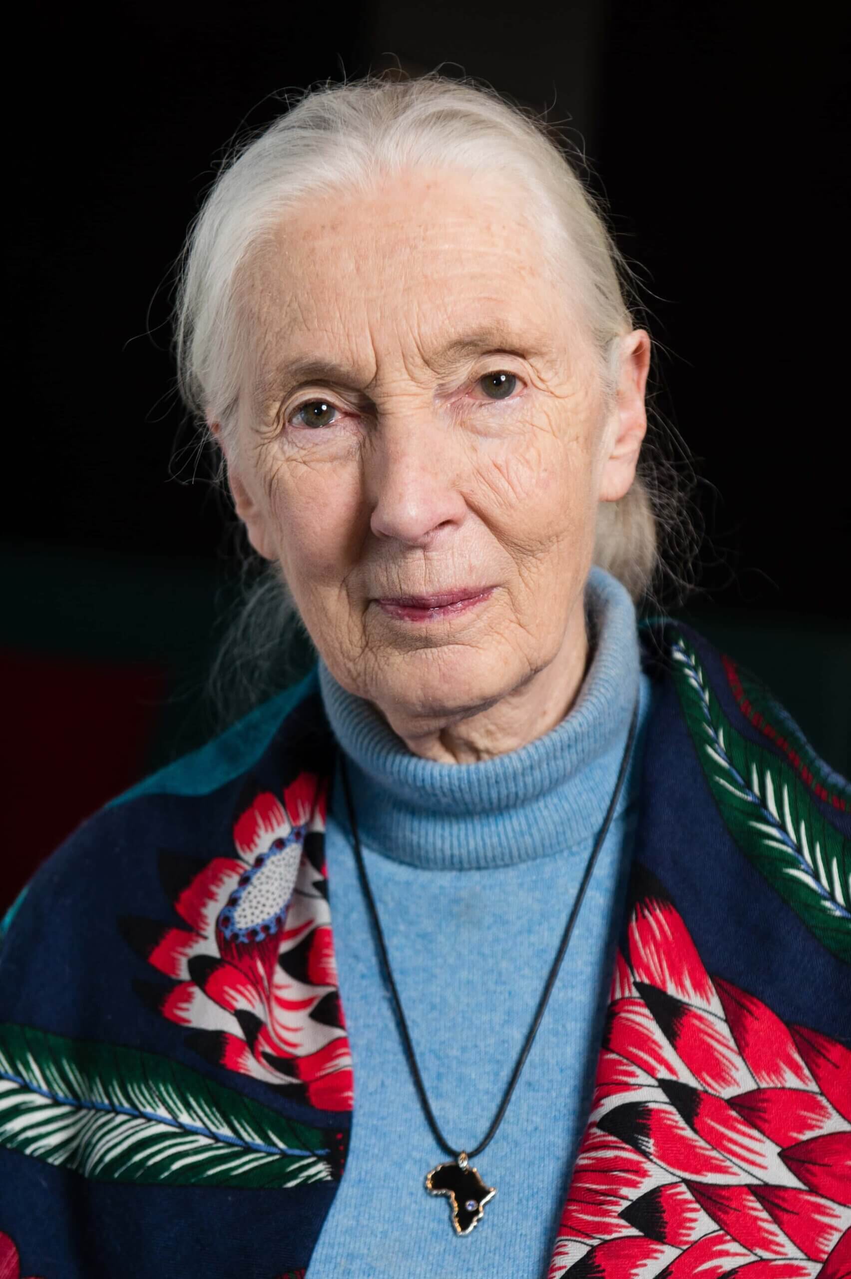 Portrait of Jane Goodall